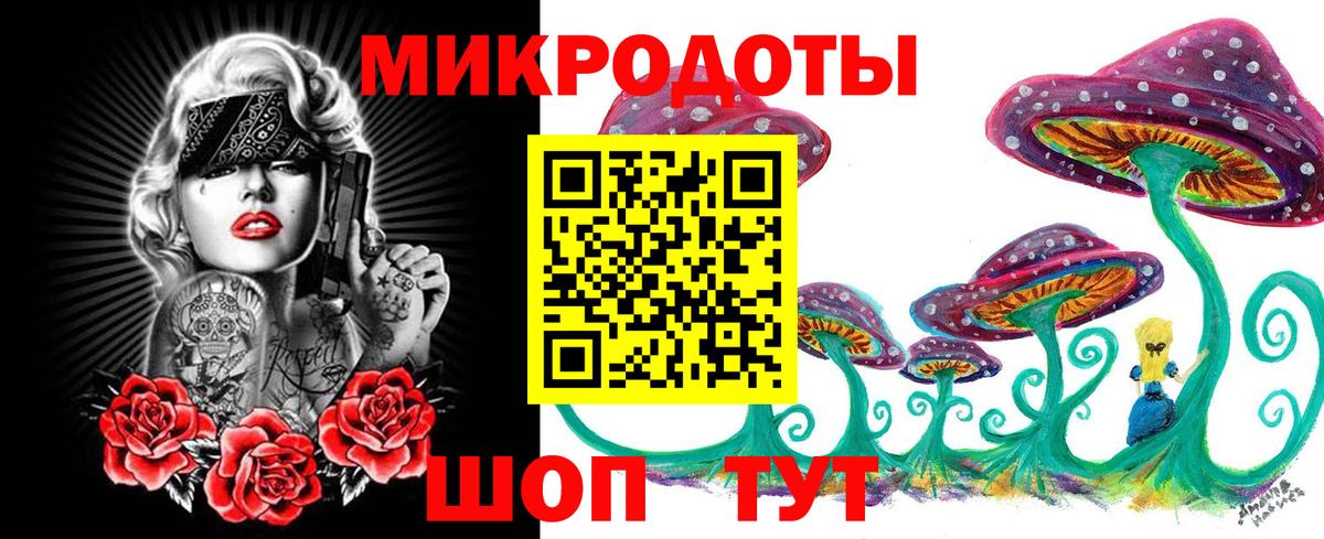 Галлюциногенные грибы Psilocybine cubensis  Вход с VPN  Урус-Мартан 