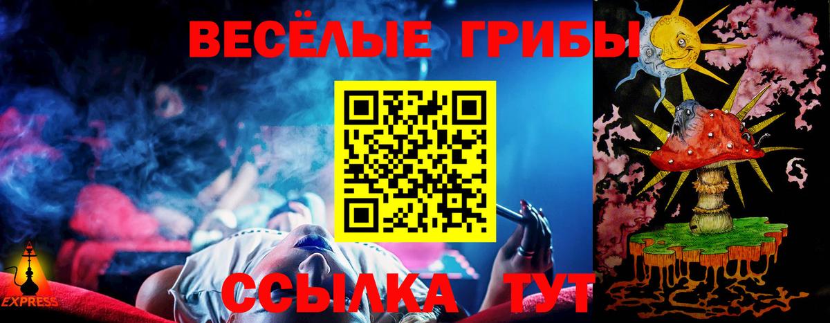 Меф кристаллы  Канабис  Урус-Мартан  ГАШ  Вход с VPN  Кокаин 